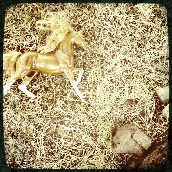 Hip 334606095.145094