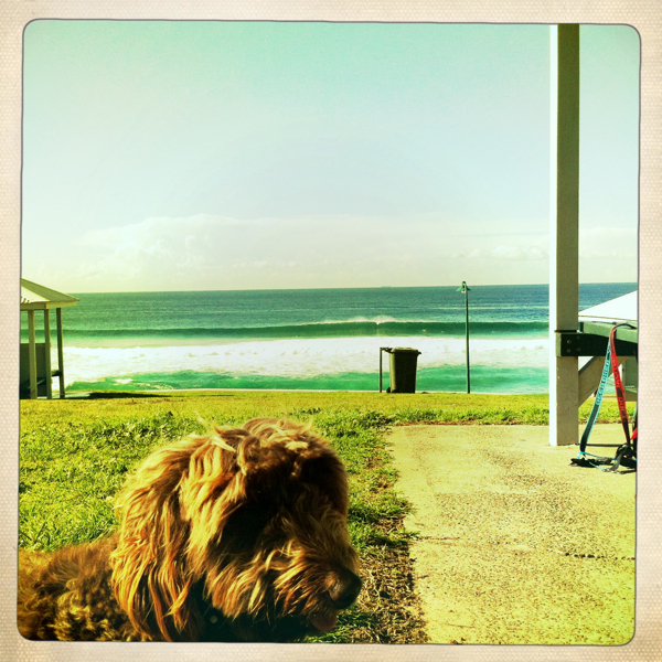 Hip 334453838.545753