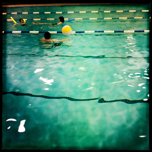 Hip 333828246.360790