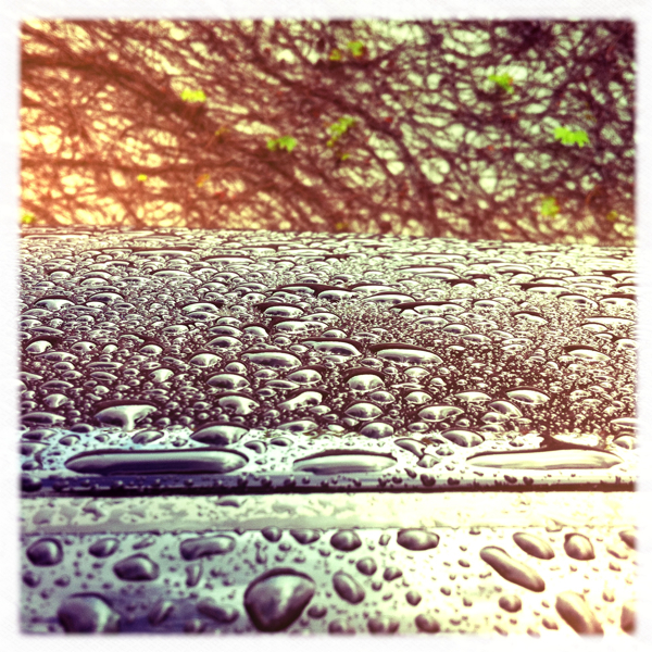 Hip 334682871.226919