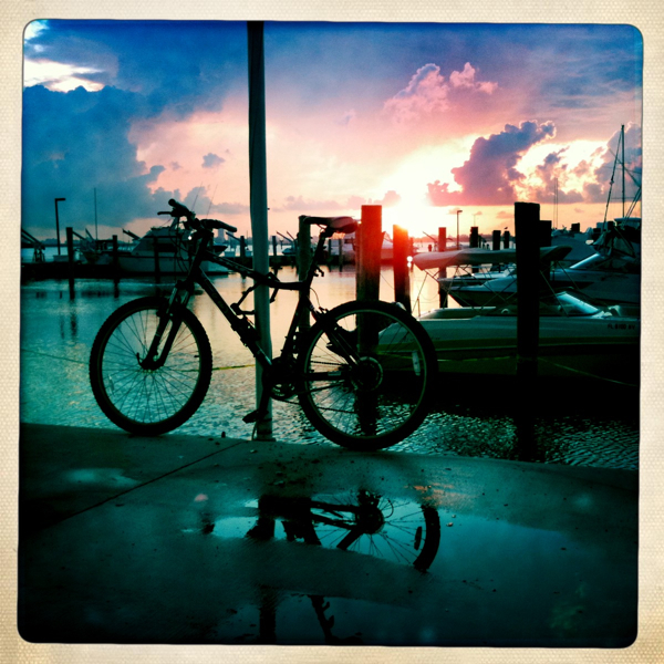 Hip 334493989.620434