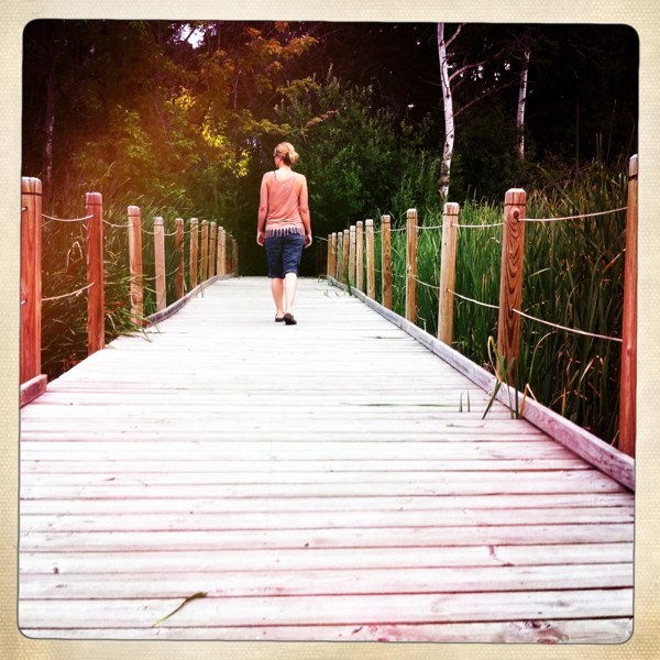 Hip 333158960.382410