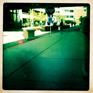 Hip 334688988.839654