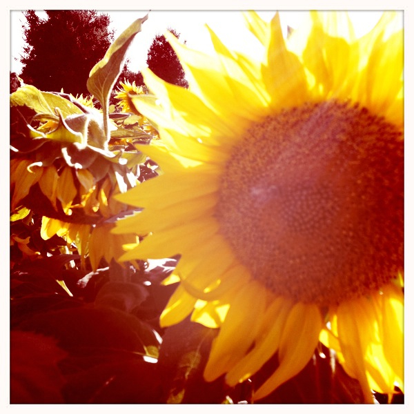 Hip 334285444.554980