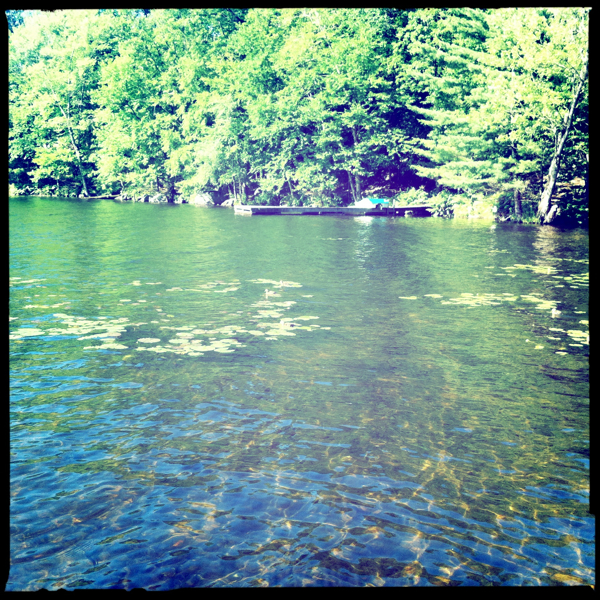 Hip 331909075.302574