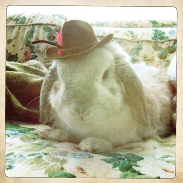 Hip 334734802.920592