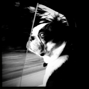 Hip 330144722.049637