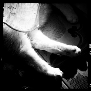 Hip 334741312.930652