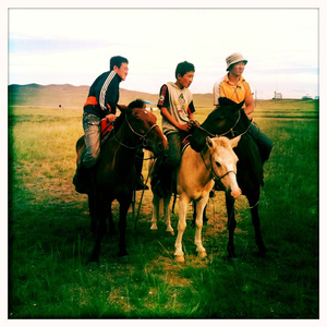 Hip 334401449.233402