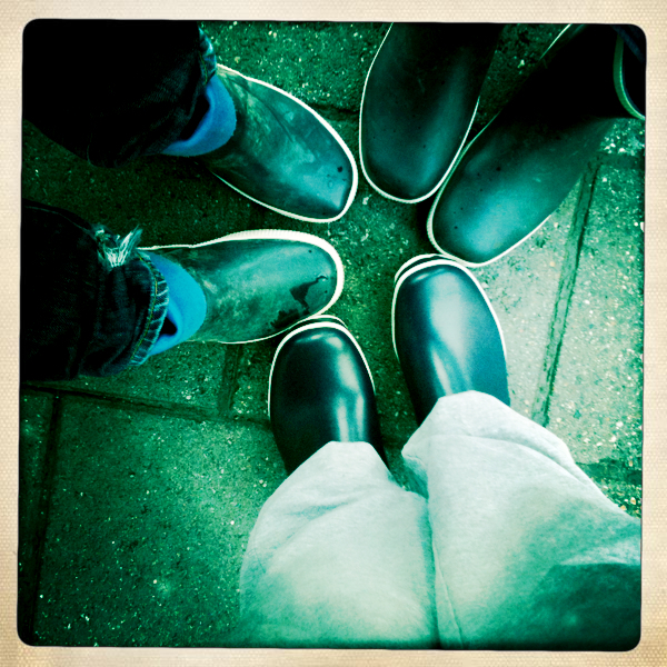 Hip 301502358.248305