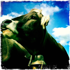 Hip 334511570.892890