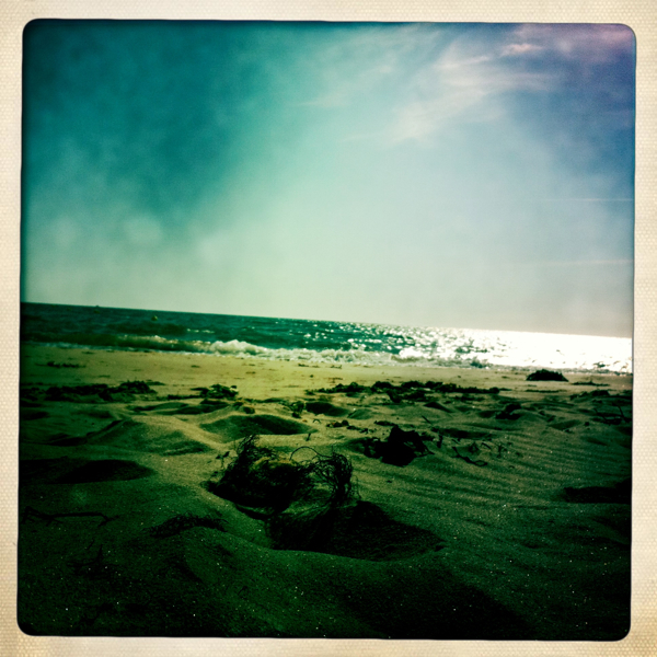 Hip 331231719.670864