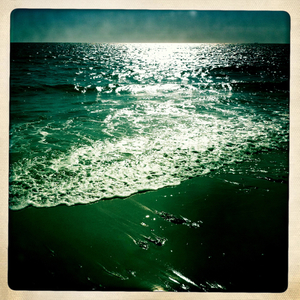 Hip 331231783.226422