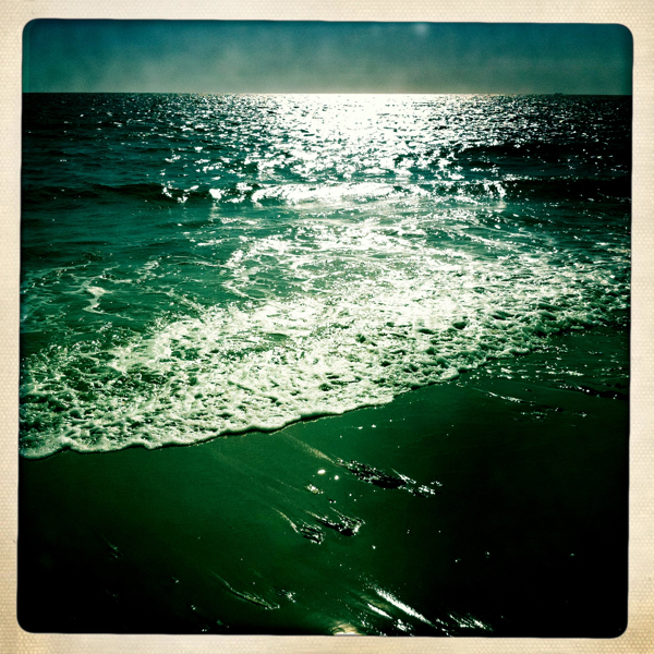 Hip 331231783.226422