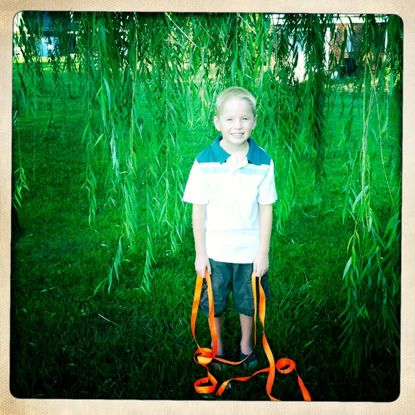 Hip 334755300.426141