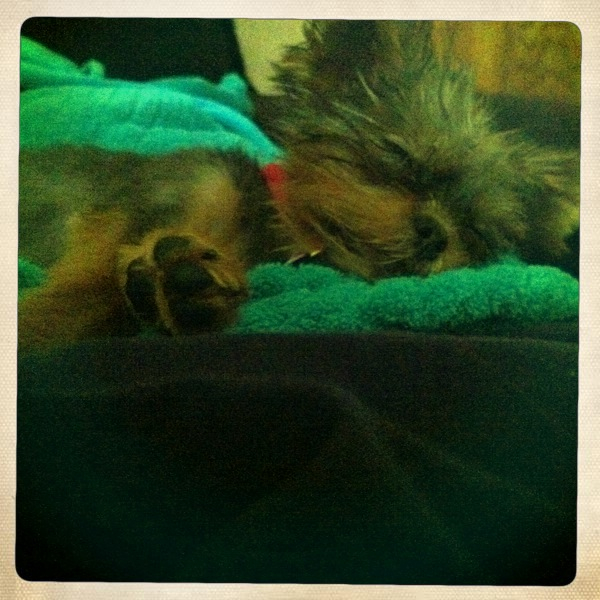 Hip 334707508.658480