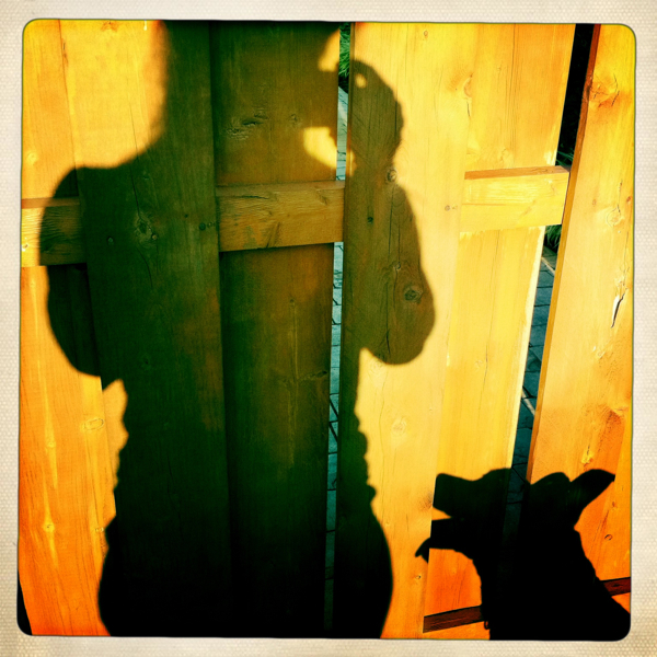 Hip 334710056.577900