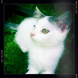 Hip 334247638.525722