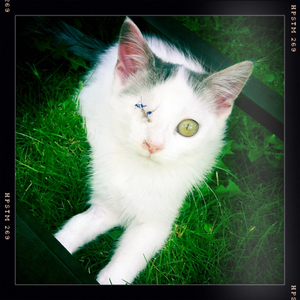 Hip 334247599.777582