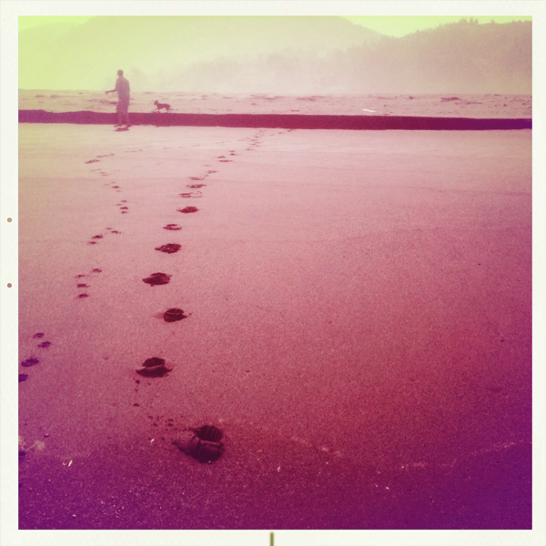 Hip 333649896.520379