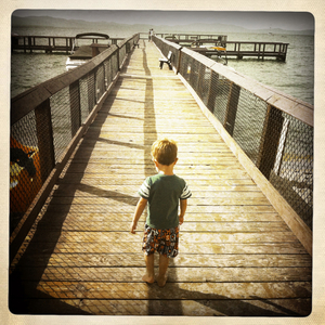 Hip 333850325.026676