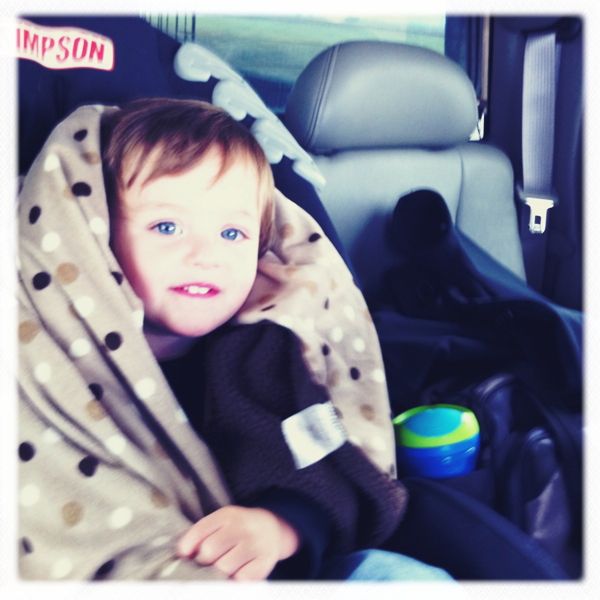 Hip 310078626.079355