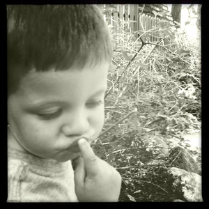 Hip 334446447.681481