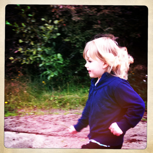 Hip 333291544.651430