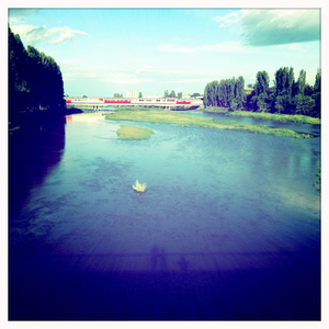 Hip 334769508.607164