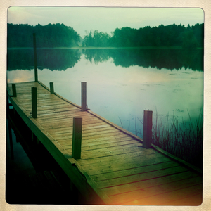 Hip 334367949.047055