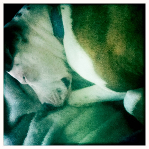 Hip 334759078.093796