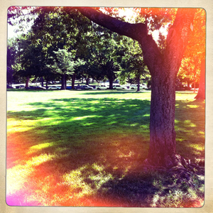 Hip 334762682.086828