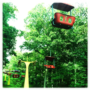 Hip 334531936.706315