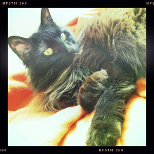 Hip 324772012.961775