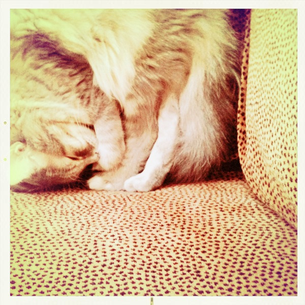 Hip 334797892.799724