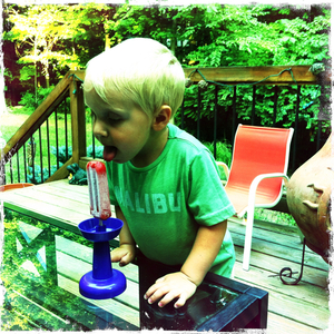 Hip 333589765.426836