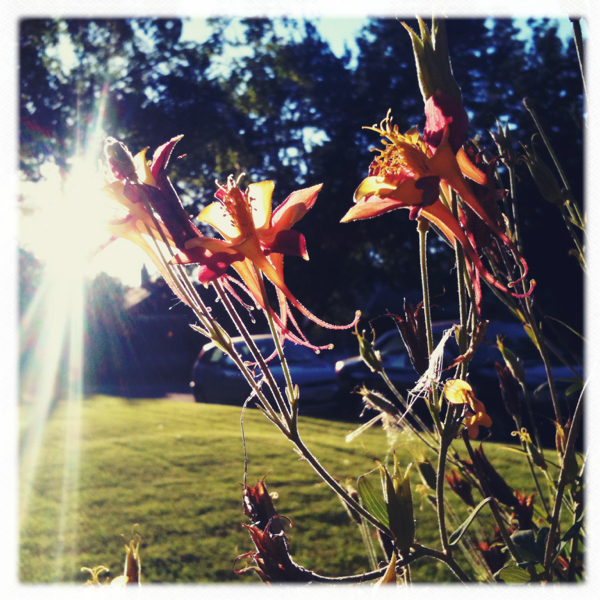 Hip 334285753.061487