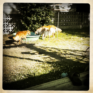 Hip 334801116.245211