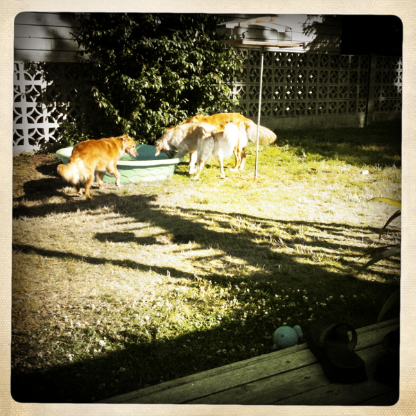 Hip 334801116.245211