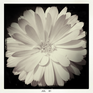 Hip 332885437.977669