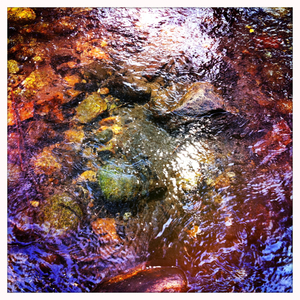 Hip 332282648.454568