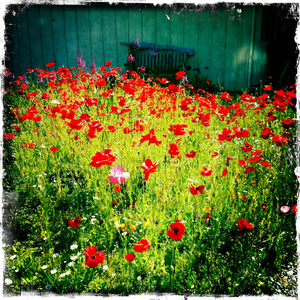 Hip 332281037.720211