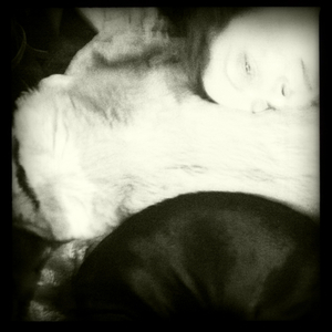 Hip 334805146.800807