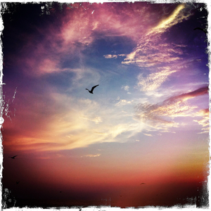 Hip 334801393.810547