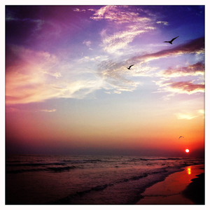 Hip 334801351.727315