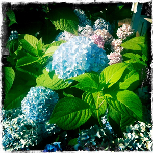 Hip 333583153.328551