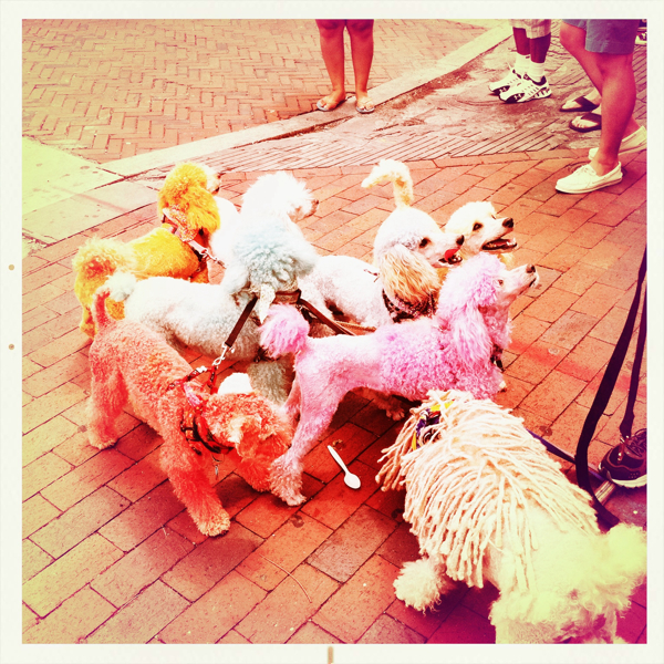 Hip 329592501.227644