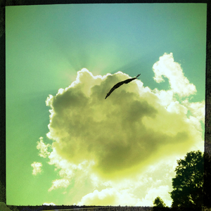 Hip 334422553.686133