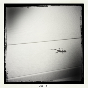 Hip 333861600.044979