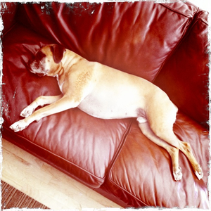 Hip 334773833.861167